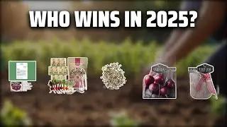 The Top 5 Best Beet Seeds in 2025 - Must Watch Before Buying!