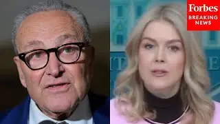 'The Hypocrisy Is Really Astounding Here': Karoline Leavitt Slams Schumer, Dems For Venezuela Stance