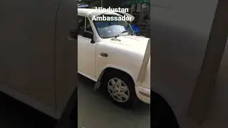 Hindustan Ambassador in Assam | Rare Cars | Retro Cars 2022