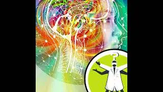 What proportion of the brain stores memory?