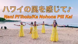 ダイヤモンドヘッドを背にハワイの風を感じて　No639