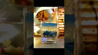 Under Sea Scented Candle. #candle #undersea #shortsvideo #showpiece #india #reels #diy  #romantic