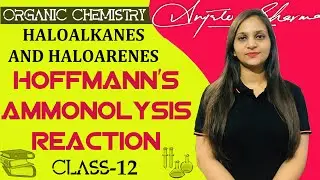 Hoffmann's Ammonolysis Reaction Class 12| Haloalkanes and Haloarenes| Amines| CBSE|NCERT|