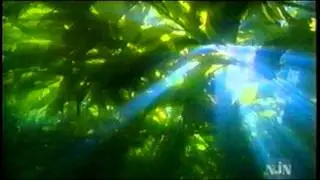 Big Sur Documentary  Pt 1