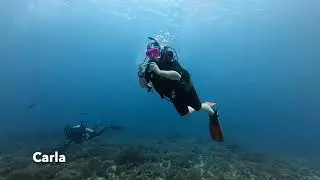 Dive Malapascua | January 2026