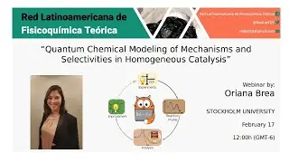 Quantum Chemical Modeling of Mechanisms and Selectivities in Homogeneous Catalysis