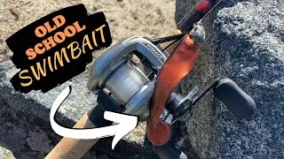 I took this old school SWIMBAIT to California (Spotted Bay Bass)