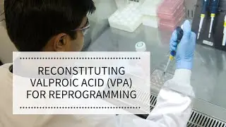 Reconstituting Valproic Acid (VPA) for Reprogramming | REPROCELL