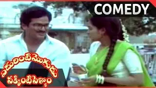 Edurinti Mogudu Pakkinti Pellam Movie || Rajendra Prasad, Divyavani  Beautiful Comedy Scene