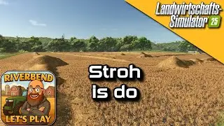 LS25 Riverbend Springs #432 - Stroh hammer do xD