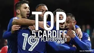 Top 5 Cardiff City Players 2018