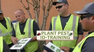 Plant Pest Identification Training