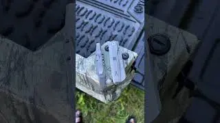 Vero Engineering Ti Neuron & Mini Fulcrum!