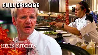 Hell's Kitchen Season 6 - Ep. 14 | Global Kitchen Showdown | Full Episode