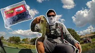 Best Bait for Bass Fishing (Winter Haven, FL)