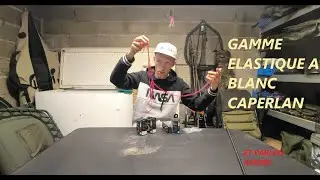 ELASTIQUE PLEIN CARPELAN GAMME PECHE AU BLANC ?