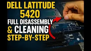 Полная разборка и чистка ноутбука Dell Latitude 5420 &ndash; пошаговая инструкция, часть 1.