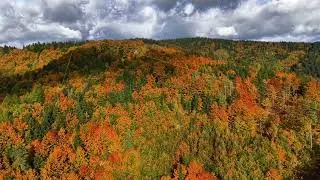 Dramatic Skies Over Vibrant Fall Terrain, Aerial View Of Lively Autumn Hills With Shadow Plays