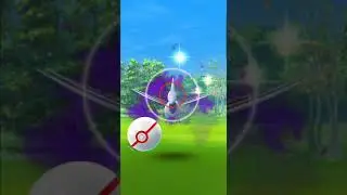 pokemon go -Shadow Skarmory - pokemon collections #Shorts