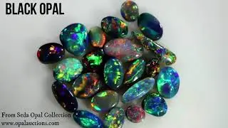 30 year old black opal  collection