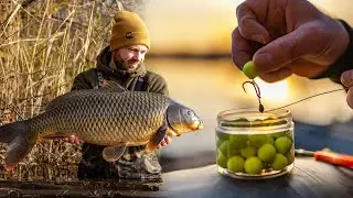 INSTANT Karpfenangeln im Winter | Damit h&auml;tten wir nicht gerechnet 😱