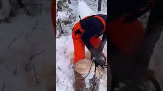 Turning a tree stump into a cute rustic stool!  Simple DIY wood project #workout  #cuttingtrees