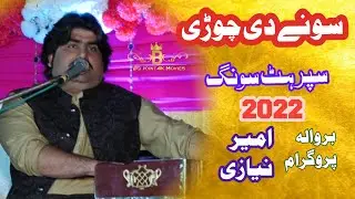 Sonay Di Chori | Ameer Niazi | Latest Saraiki Hit Song | Big Point Official