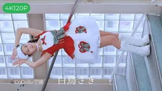 【4K120P】 CoCoRo学園 ふるり 白鳥さきちゃんイメージムービー🎥 2025/12/21東京アイドル劇場(高田馬場BSホール)