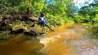 Muita chuva no pé da serras córregos transbordaram e os peixes vieram parar nas matas.