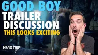 'Good Boy' Trailer Watch! We Need Fresh Paranormal Stories Like This!