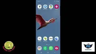 Como usar la app MERLIN del Lab. de Ornitolog&iacute;a de Cornell...
