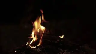 Burning Woods Effects | Fire Flames | Free stock videos | Alaine Stocks