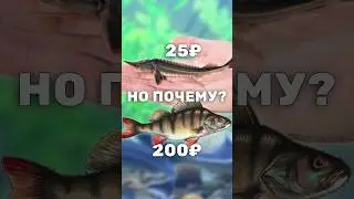 Почему Окунь дороже Осетра? Про стоимость мальков окуня и осетров для пруда #рыбы