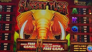 Sunset Tusk just passing some time. No big wins unfortunately.