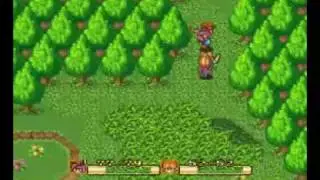 96580.mp4