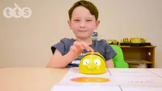 Bee-Bot&reg; Alphabet Cards from TTS Group