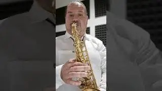 tango tananai sax cover   #sanremo  #bobsax #tananai #tango #coversax #saxcover #saxmusic #short