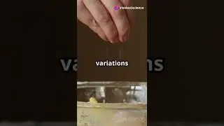 Why Your Fingerprints Are One of a Kind!