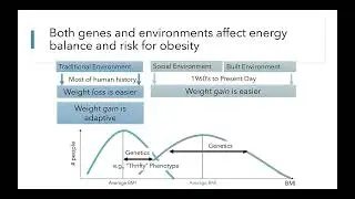 Energy Balance and Body Weight