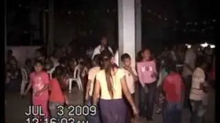 Fuerza Veracruzana