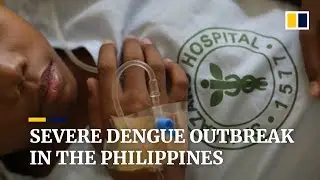 The Philippines on dengue fever alert as 2019 outbreak death toll nears 500