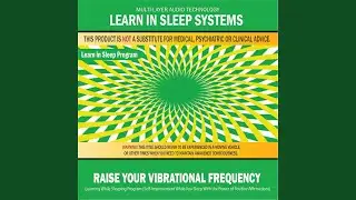 Raise Your Vibrational Frequency: Learning While Sleeping Program (Self-Improvement While You...
