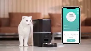 Discover the Future of Pet Care: Automatic Pet Feeder with Camera