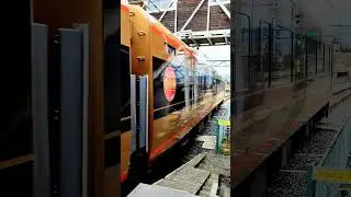 【実写】東武100系日光詣スペーシア(Japanese train, Tobu 100 Series, SPACIA) #shorts