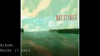 Beestings - We're All Scientist