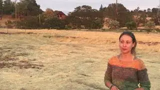 Intro and plans to start my no-till farm