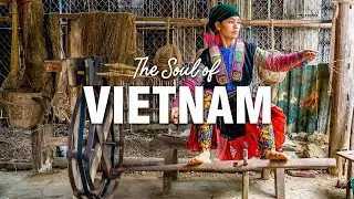 Vietnamese Culture & Traditions You Should Know