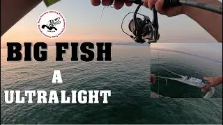 BIG FISH a ULTRALIGHT spinning