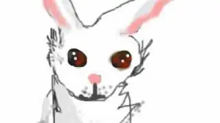 rabbit by katiushka