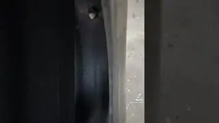 Big rock stuck in a tire